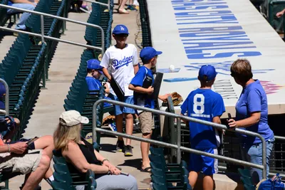 DSC_1690 (Large).JPG